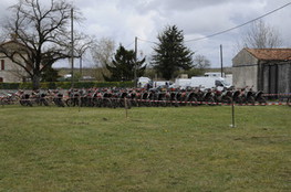 Paddock fin de course