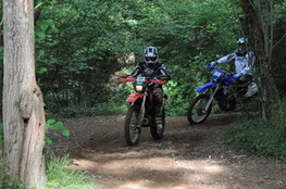 Bois 029 et 128