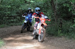 Bois 025 et 123