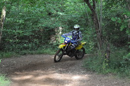 Bois 044