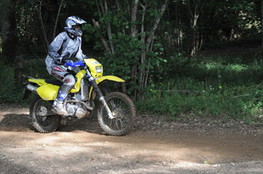 Bois 071