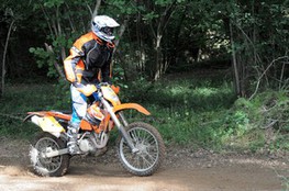 Bois 031