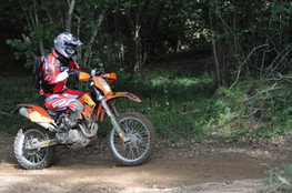 Bois 153