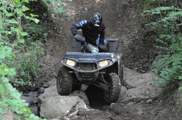Quad Fr&eacute;d&eacute;ric