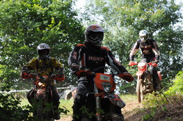Bois 127