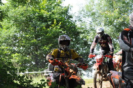 Bois et boue