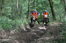 Bois marshalls en difficult&eacute;
