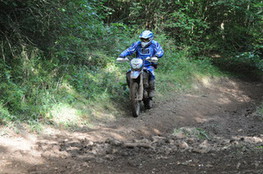 Bois 075