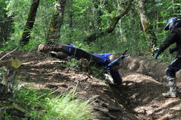 Bois chute