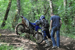 Bois chute