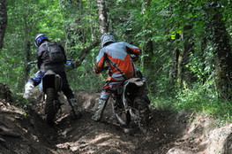 Bois chute