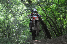 Mont&eacute;e