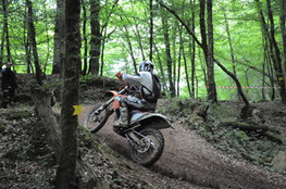 Bois mont&eacute;e