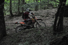 Bois mont&eacute;e