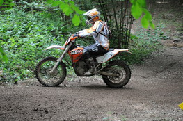 Bois mont&eacute;e
