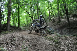 Bois mont&eacute;e