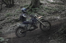Bois mont&eacute;e