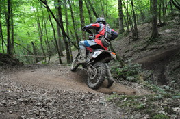 Bois mont&eacute;e