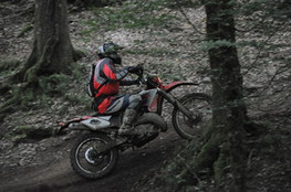 Bois mont&eacute;e