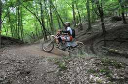 Bois mont&eacute;e