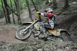 Bois mont&eacute;e