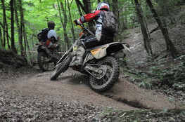 Bois mont&eacute;e