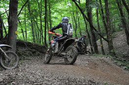 Bois mont&eacute;e