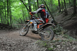 Bois mont&eacute;e