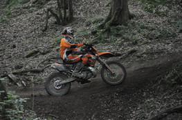 Bois mont&eacute;e