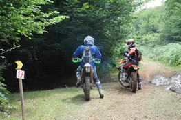 Sortie bois Ludo et 050