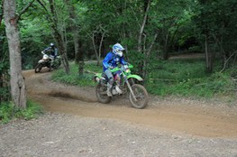 Bois 051 (Ludo)