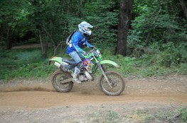 Bois 051 (Ludo)