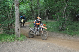 Bois 050