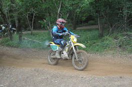Bois 046