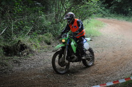Virage Marshall