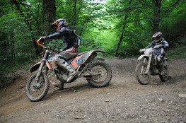 Bois 063