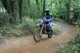 Bois 141