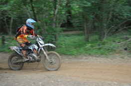 Bois 079