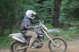 Bois 054