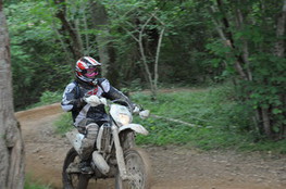 Bois 039