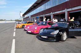 Paddock des confirm&eacute;s