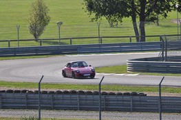 Porsche 964 Carrera RS avec Ludo