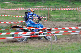 Sp&eacute;ciale n&deg;245