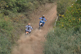 Sp&eacute;ciale n&deg;245