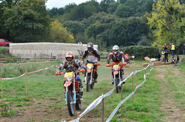 Sp&eacute;ciale n&deg;72, 71, 240