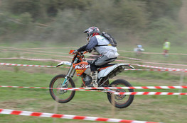 Sp&eacute;ciale n&deg;208