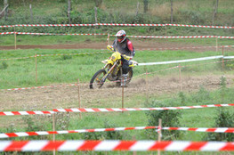 Sp&eacute;ciale n&deg;317