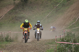 Sp&eacute;ciale n&deg;261, 338