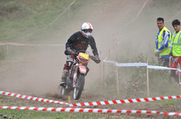 Sp&eacute;ciale n&deg;231