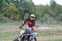 Sp&eacute;ciale n&deg;M397